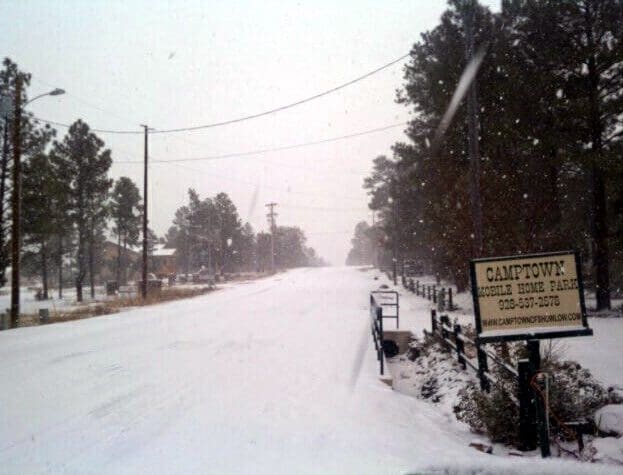 A snowy street with trees and power lines.