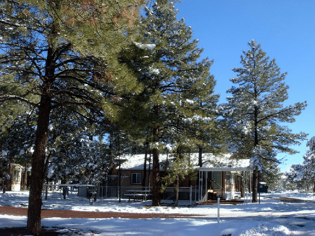 A house in the middle of snow covered trees.