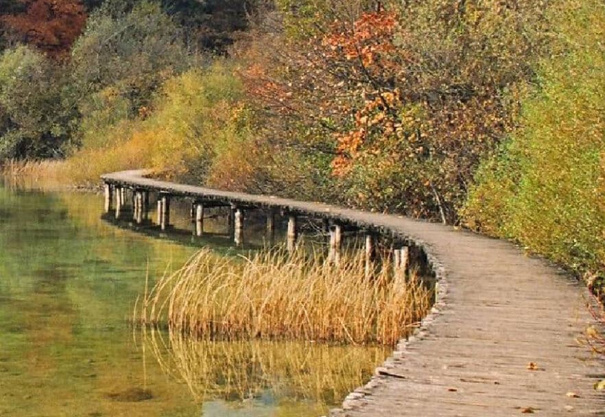 A wooden bridge over water with trees in the background.